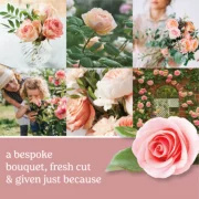 22 oz-Fresh Cut Roses