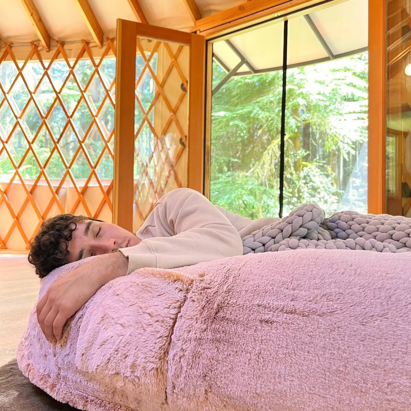 💥 Last Day - The Dog Bed for Humans