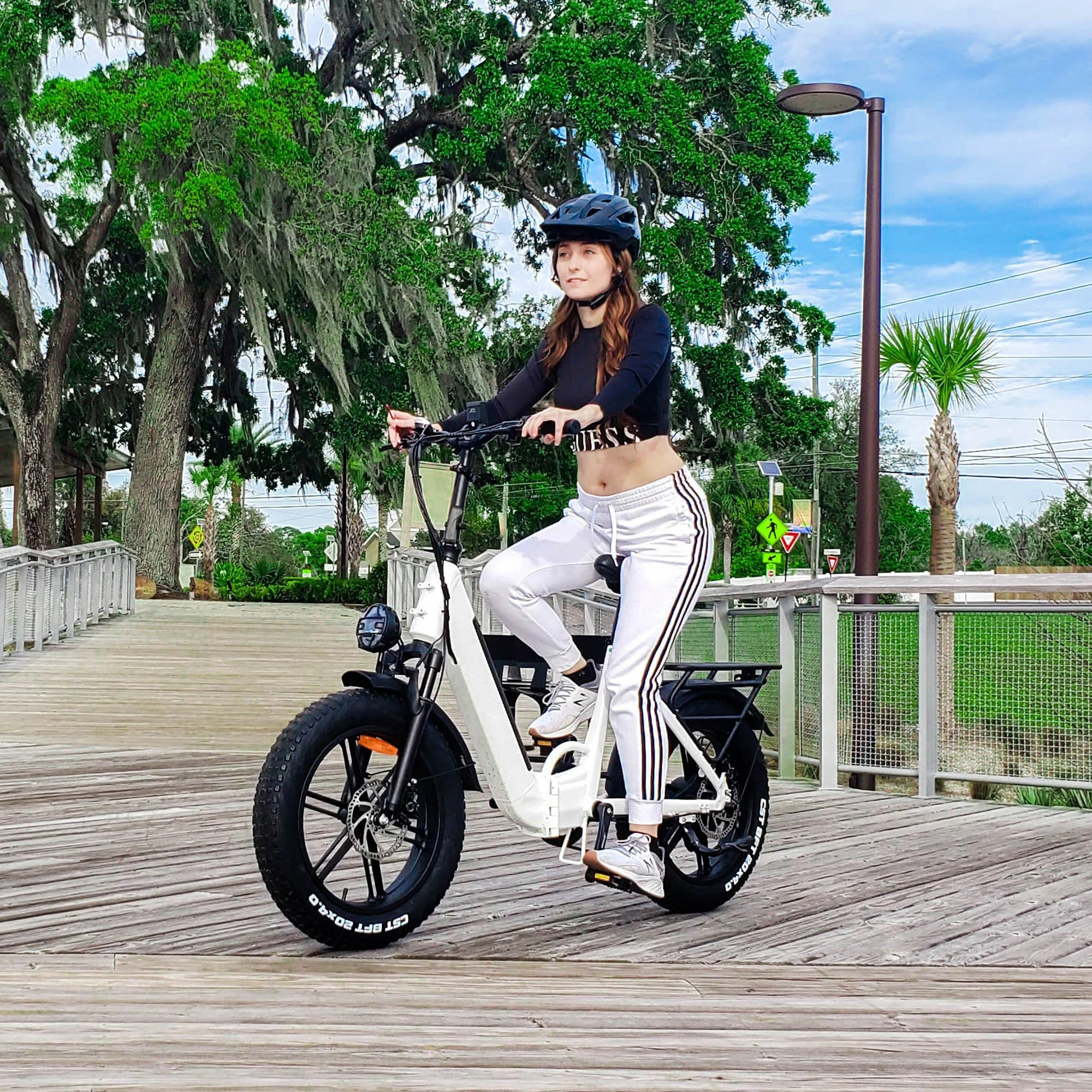 Folding Electric Bike Literider