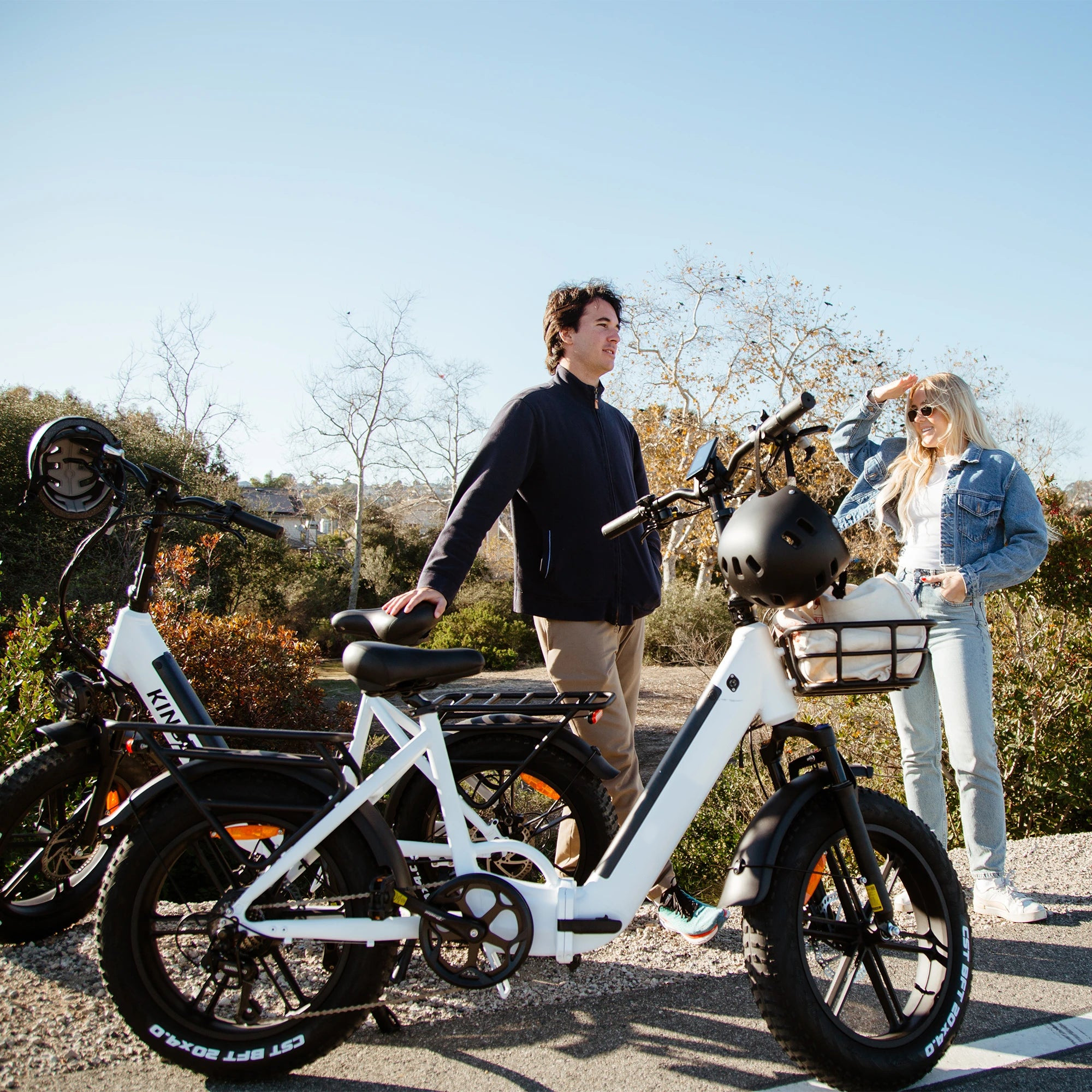 Folding Electric Bike Literider