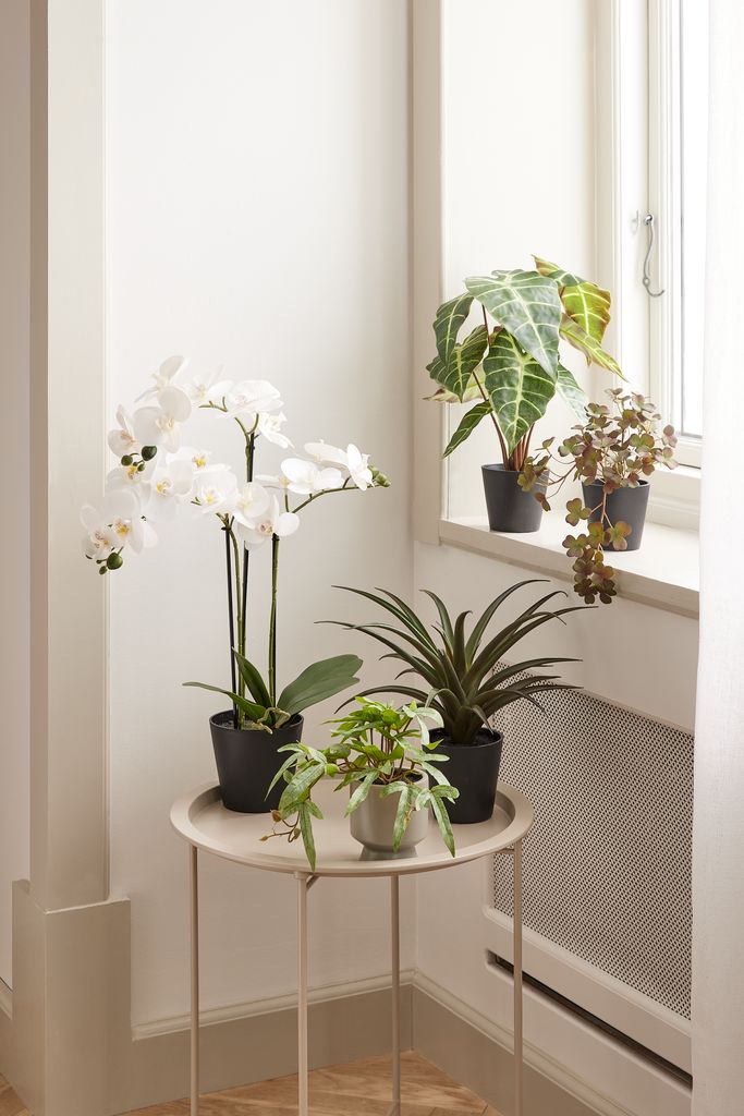 Artificial plant MATINUS H62cm w/flowers
