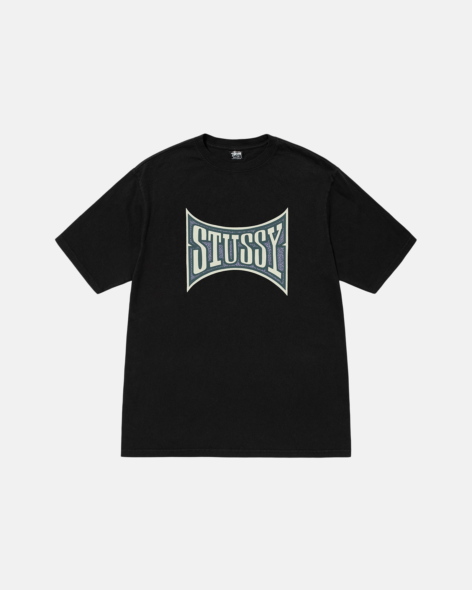 CHAMPION PIGMENT DYED TEE