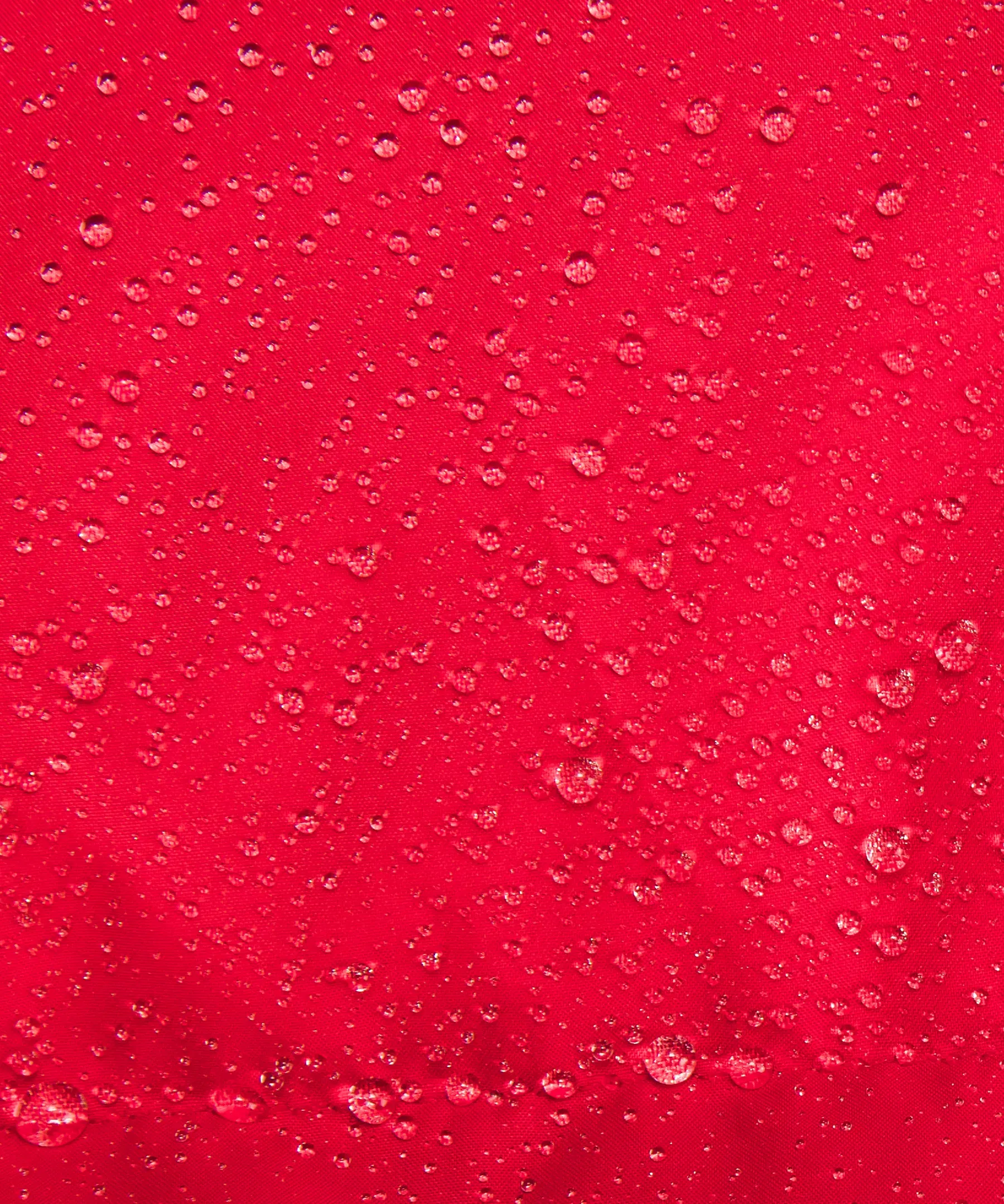 lululemon Lunar New Year Wunder Puff Jacket