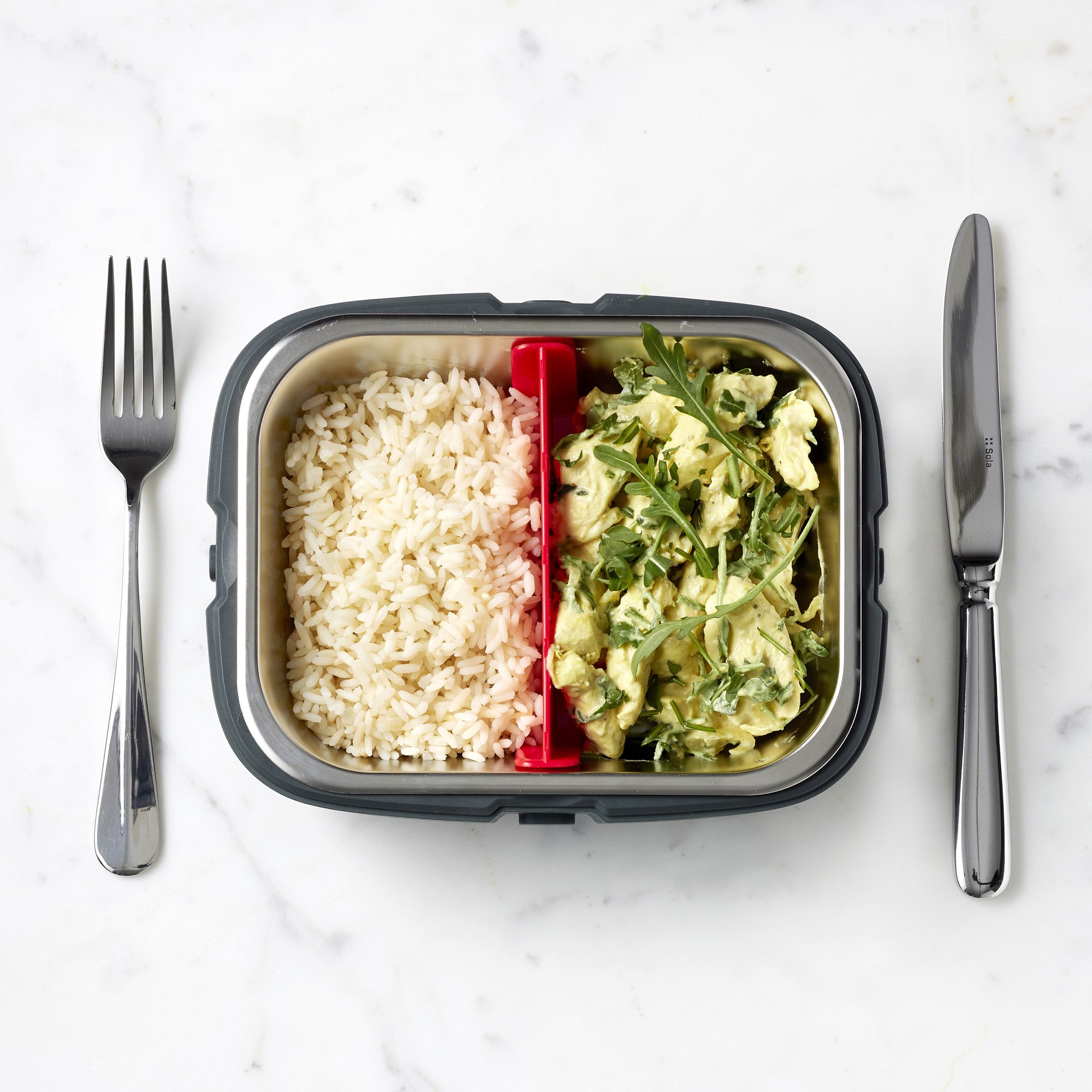 HeatsBox GO Electric Lunchbox with Charger