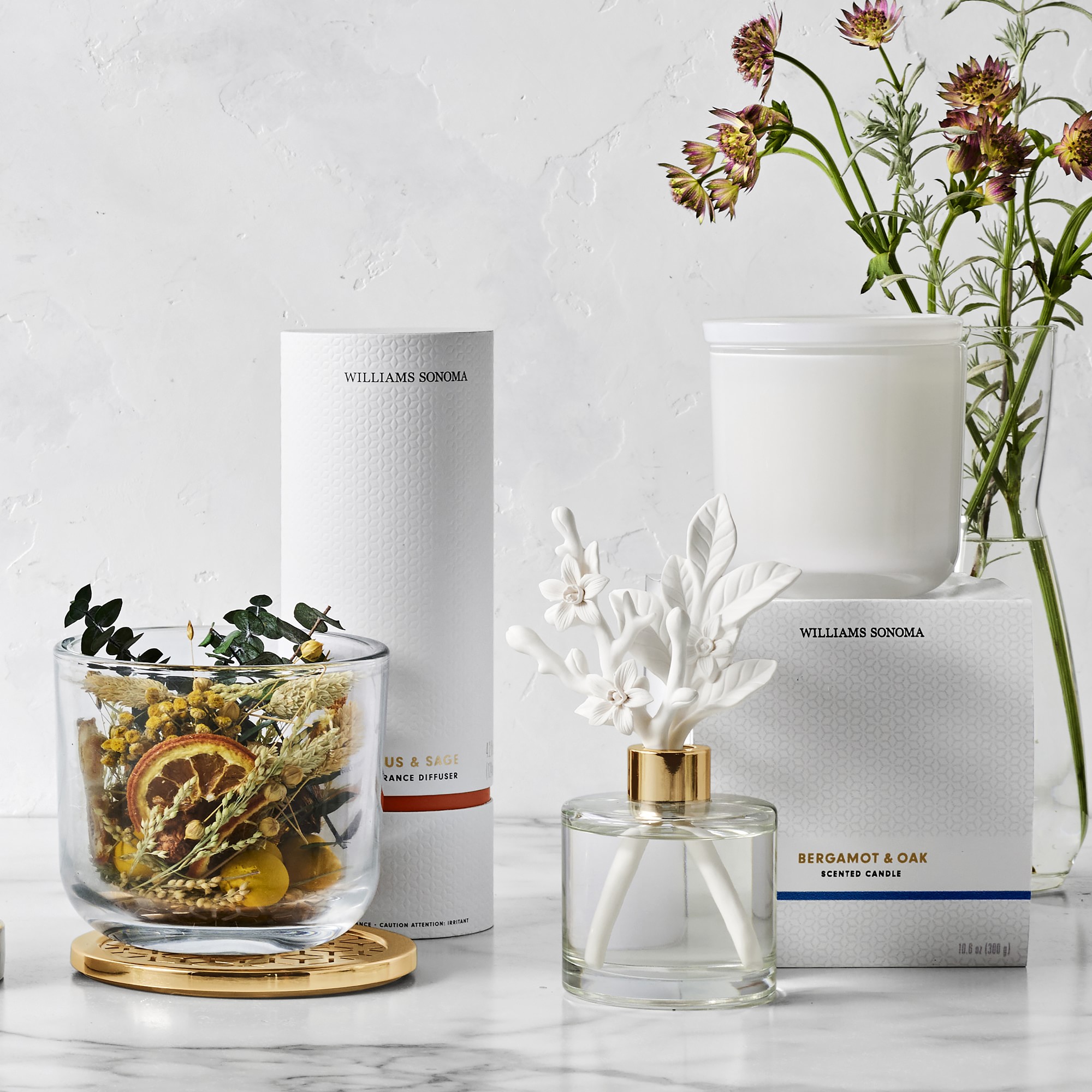 Home Fragrance Bergamot and Oak Porcelain Diffuser