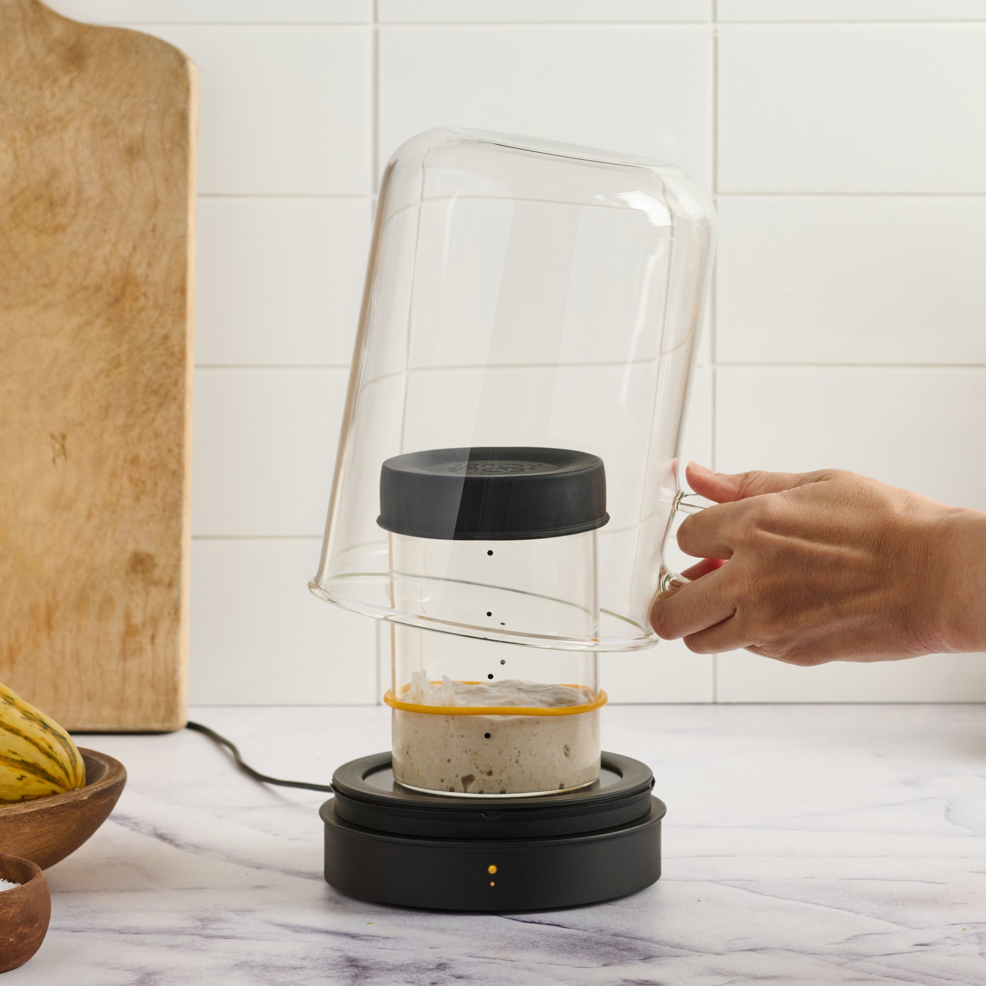 Goldie by Sourhouse™