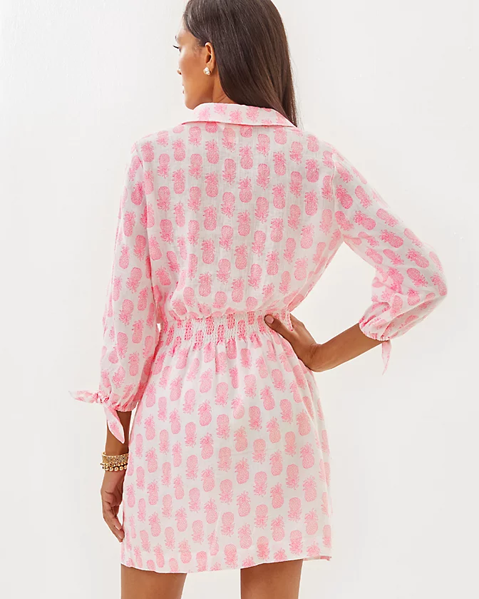 Abralynn Linen Shirtdress