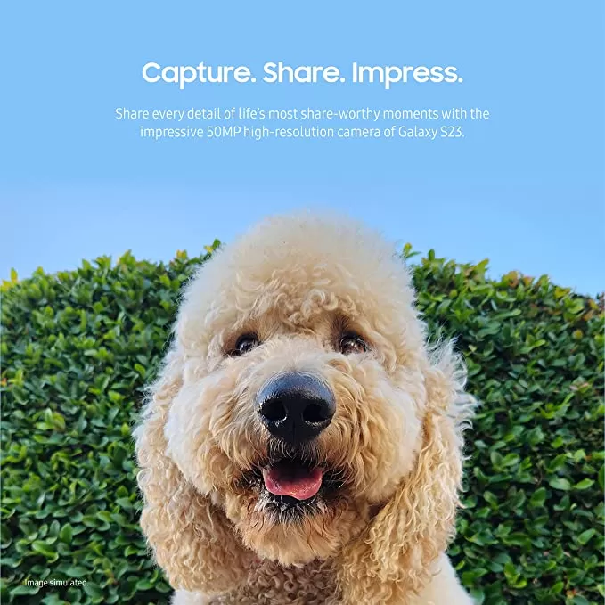 SSG S23 (S911U) Factory Unlocked USA Version with Warranty (New)