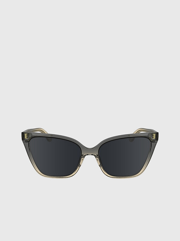 Cat Eye Sunglasses CK24507S