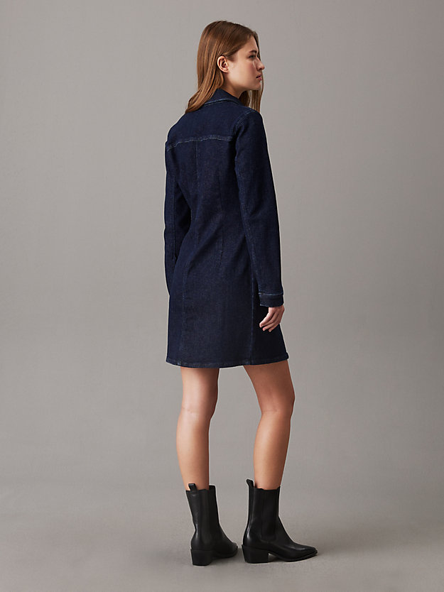 Fitted Denim Shirt Dress