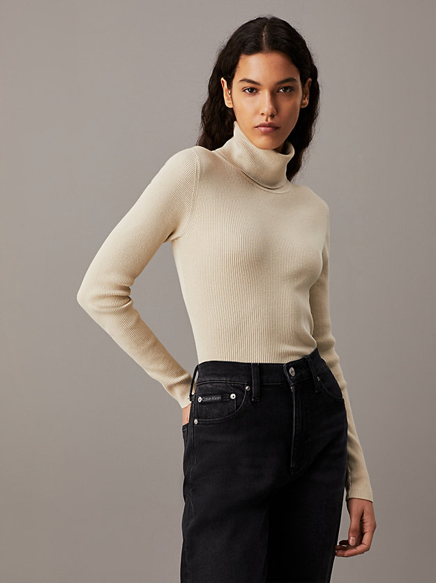 Slim Ribbed Roll Neck Jumper