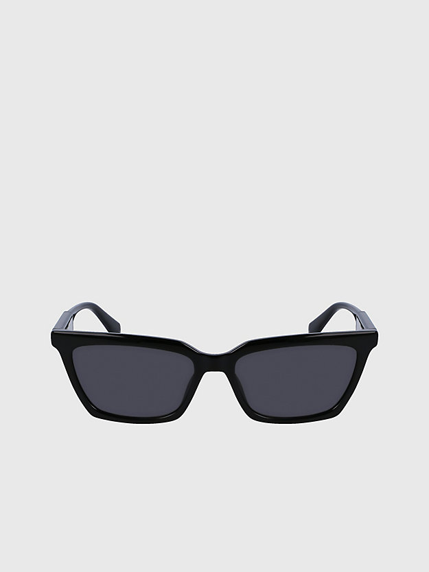 Cat Eye Sunglasses CKJ23606S