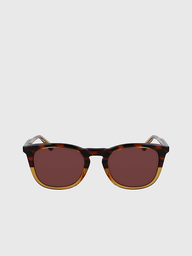 Round Sunglasses CK23501S