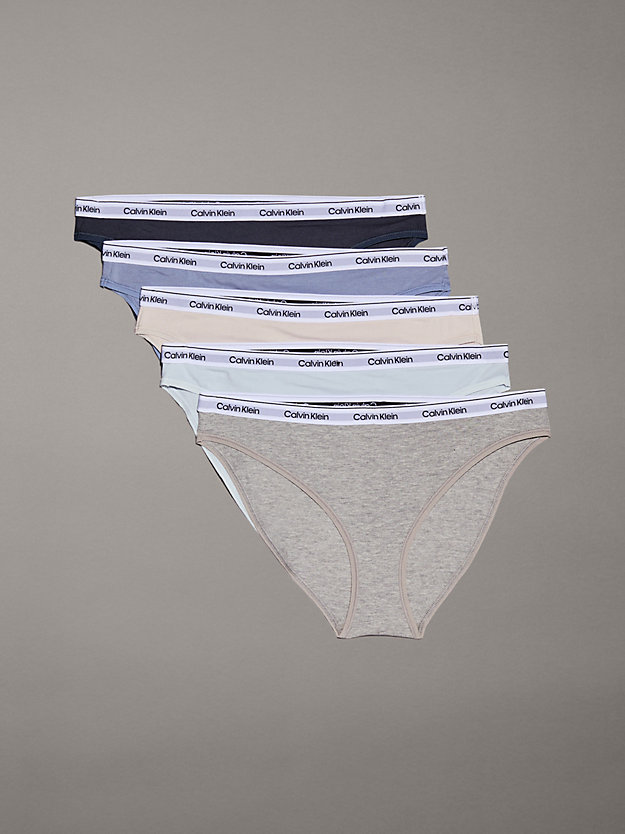 5 Pack Low Rise Bikini Briefs