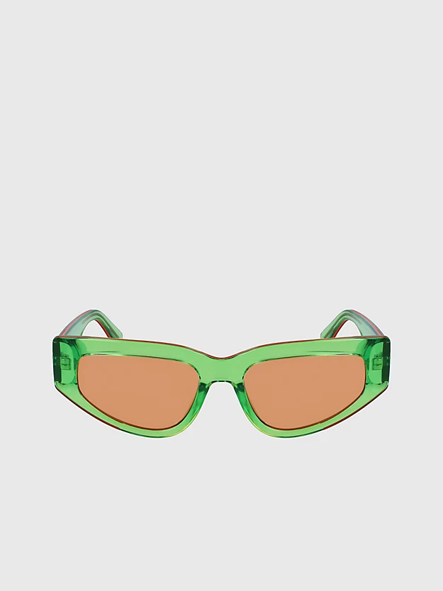 Cat Eye Sunglasses CKJ23603S
