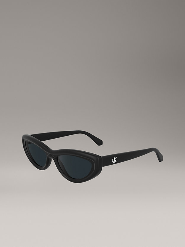 Cat Eye Sunglasses CKJ24624S