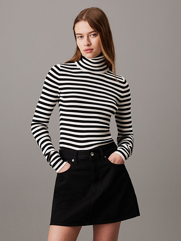 Slim Ribbed Roll Neck Jumper