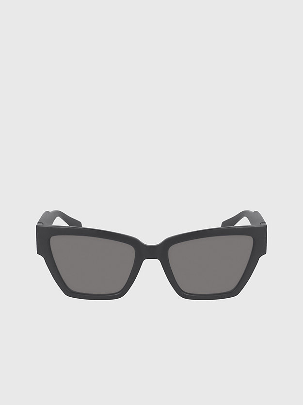 Cat Eye Sunglasses CKJ23624S