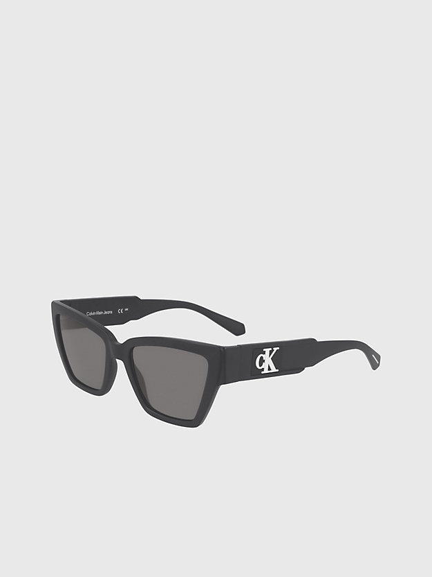 Cat Eye Sunglasses CKJ23624S