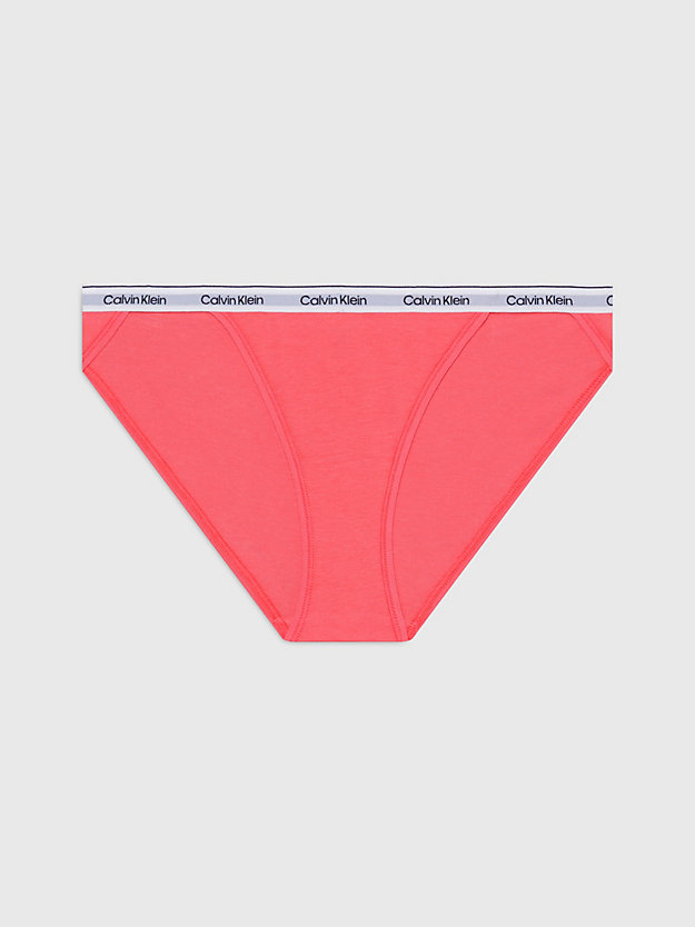 Bikini Briefs - Modern Logo