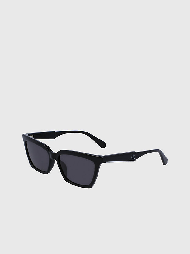 Cat Eye Sunglasses CKJ23606S