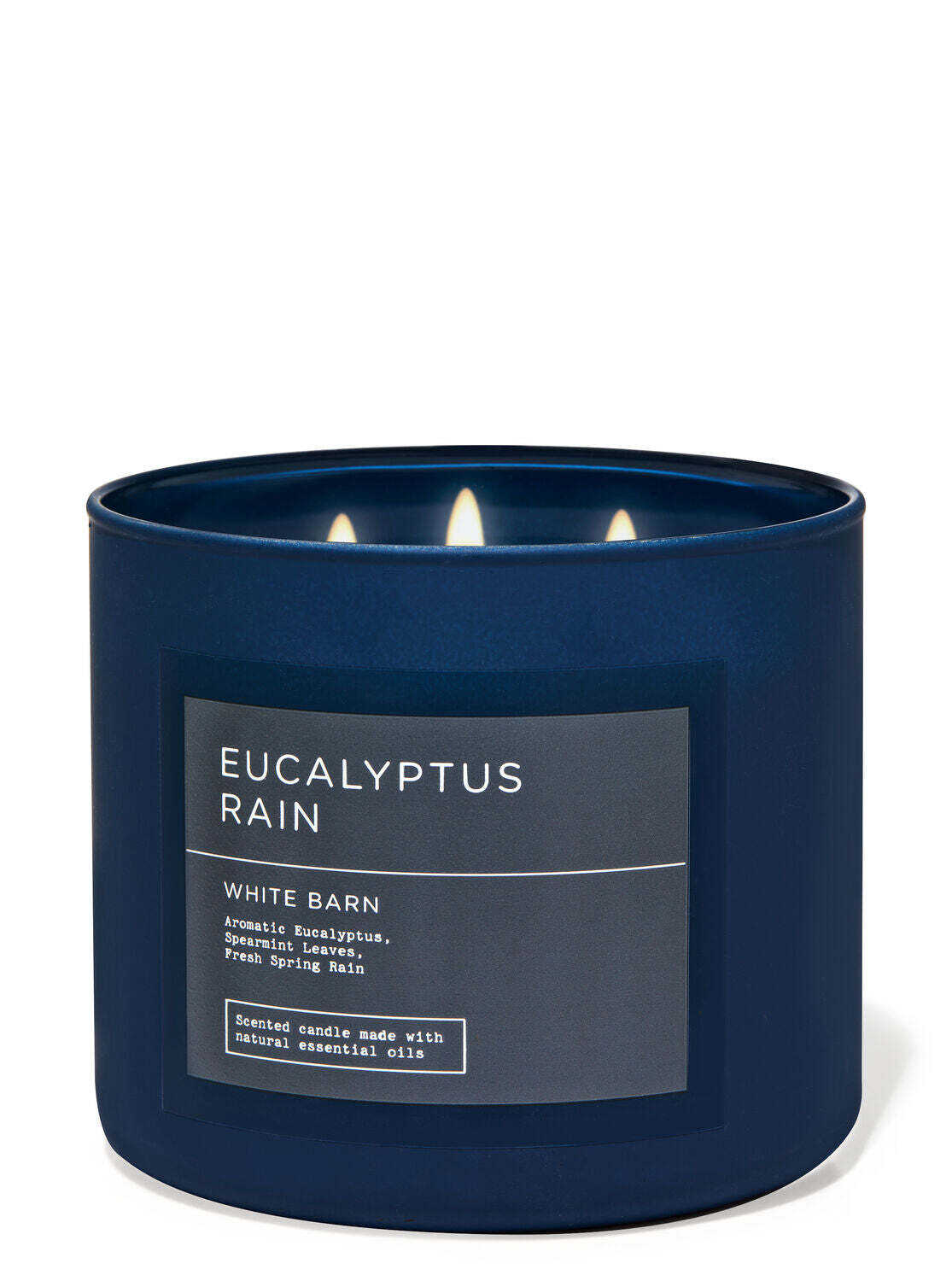 Eucalyptus Rain - Candles/ CLOUD /