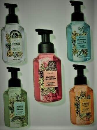 Bath and Body Works Foaming Hand Soaps - Set of 5 Gentle Foaming Soaps (Chilly Day Essentials)