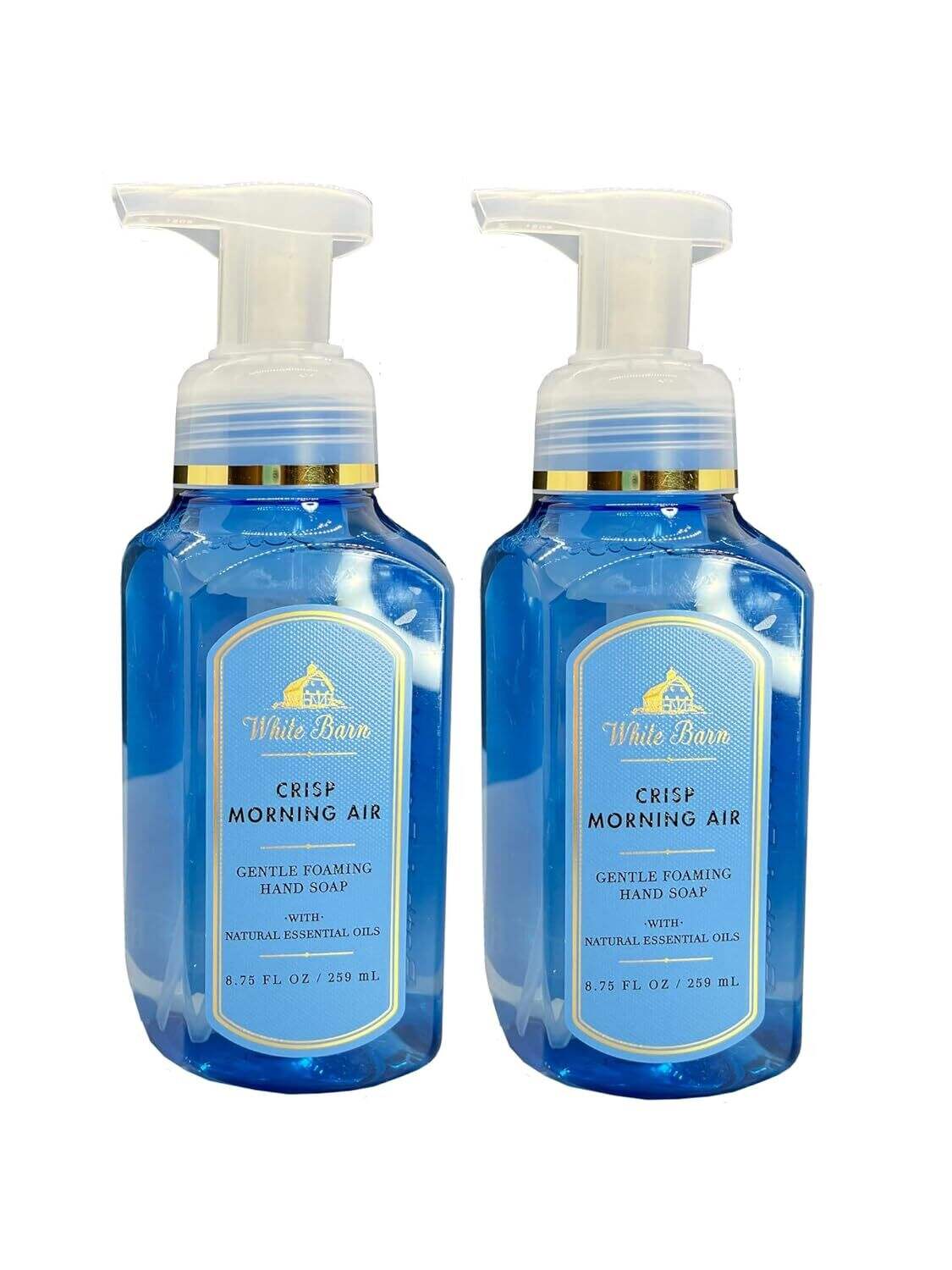Bath and Body Works 2 Pack Crisp Morning Air Gentle Foaming Hand Soap. 8 Oz