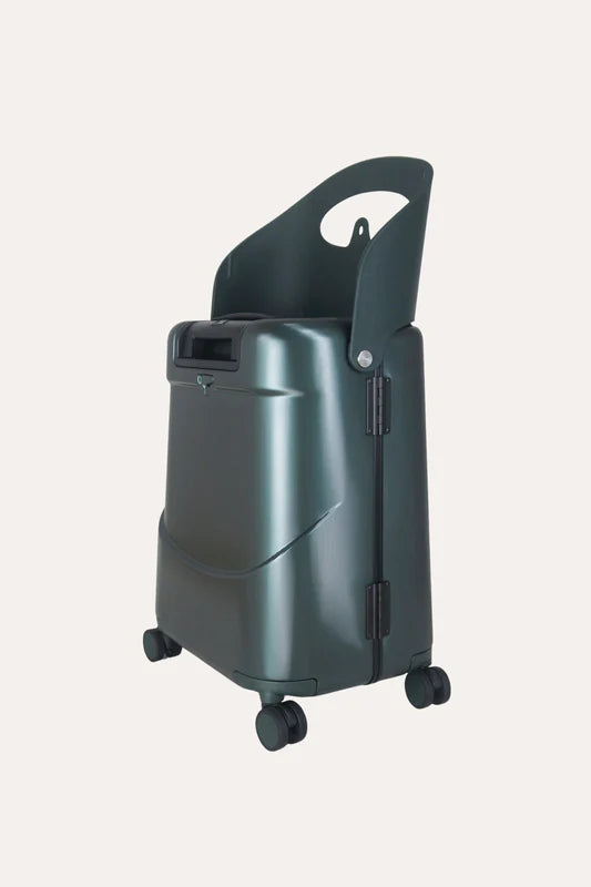 Luggage
