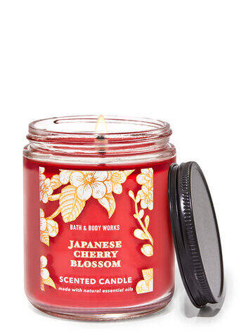 Japanese Cherry Blossom