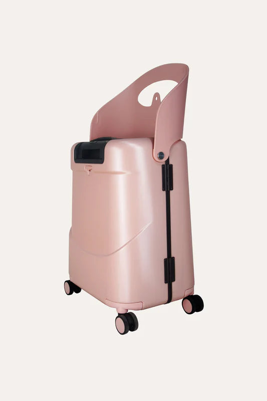 Luggage