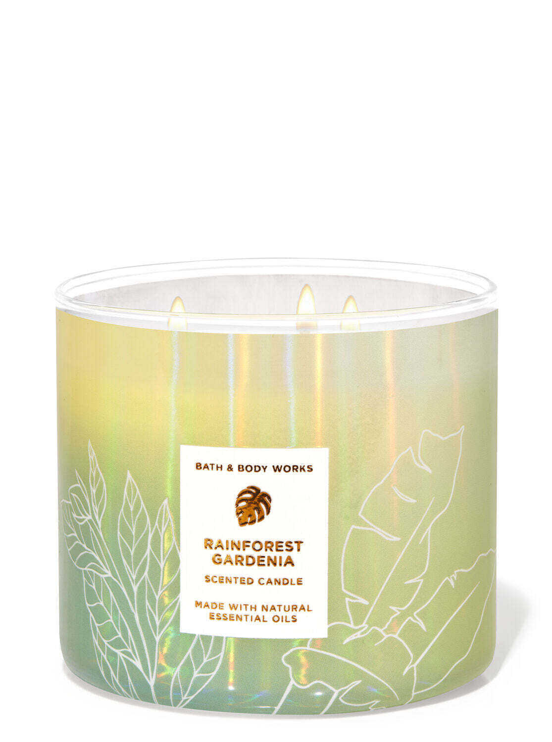 Rainforest Gardenia 14.5oz - candles / CLOUD