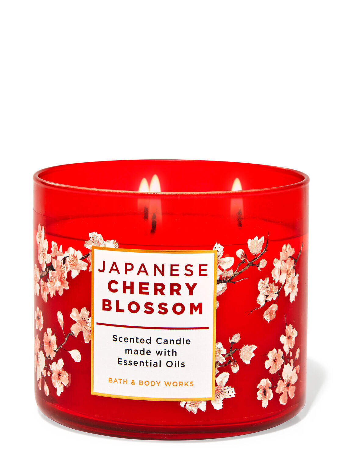 Japanese cherry blossom - candles / CLOUD /