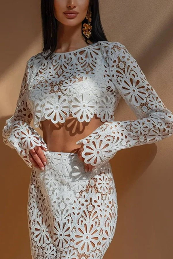 Crochet Lace Floral Pattern Long Sleeve Crop Vacation Top