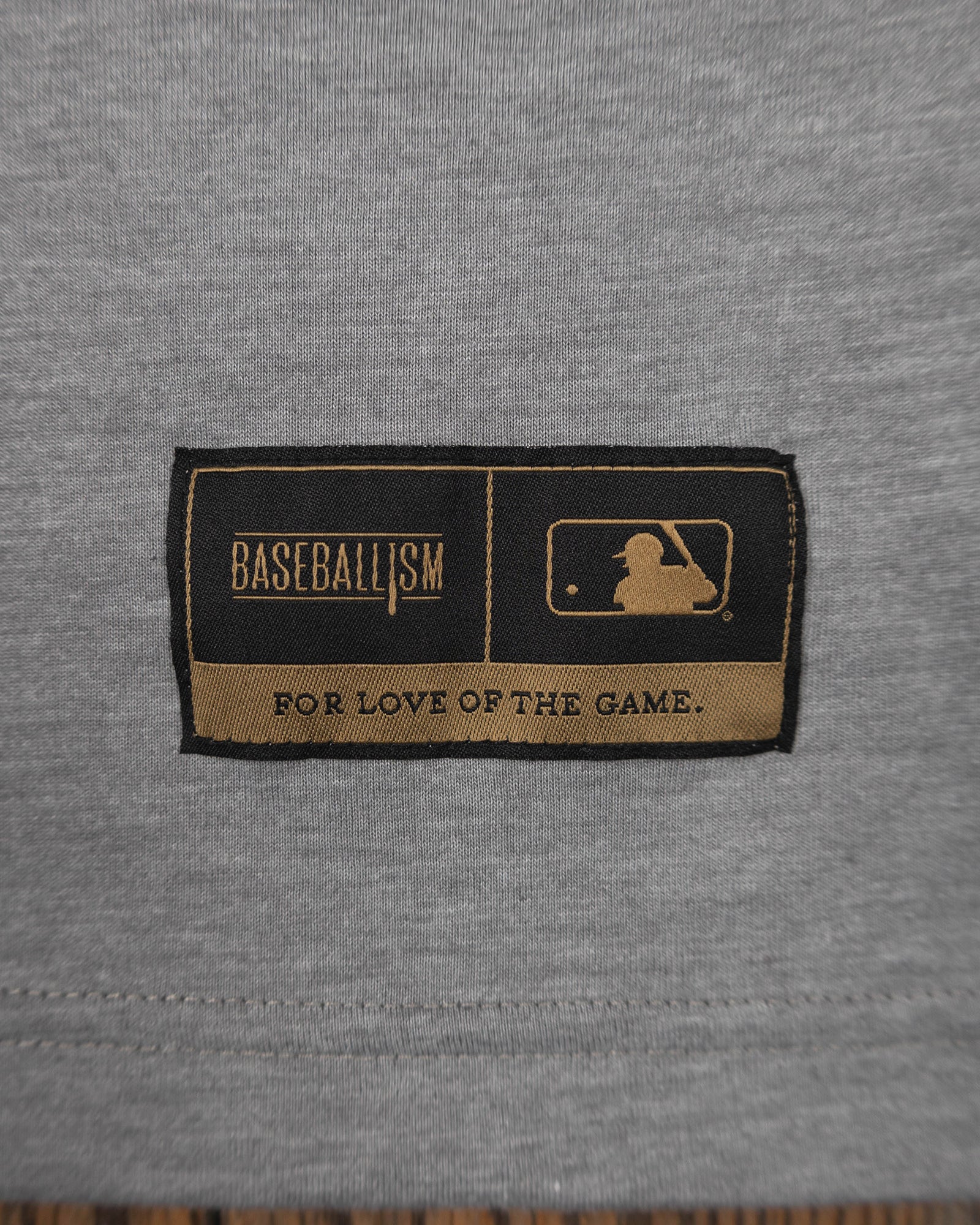 Anthem - Houston Astros