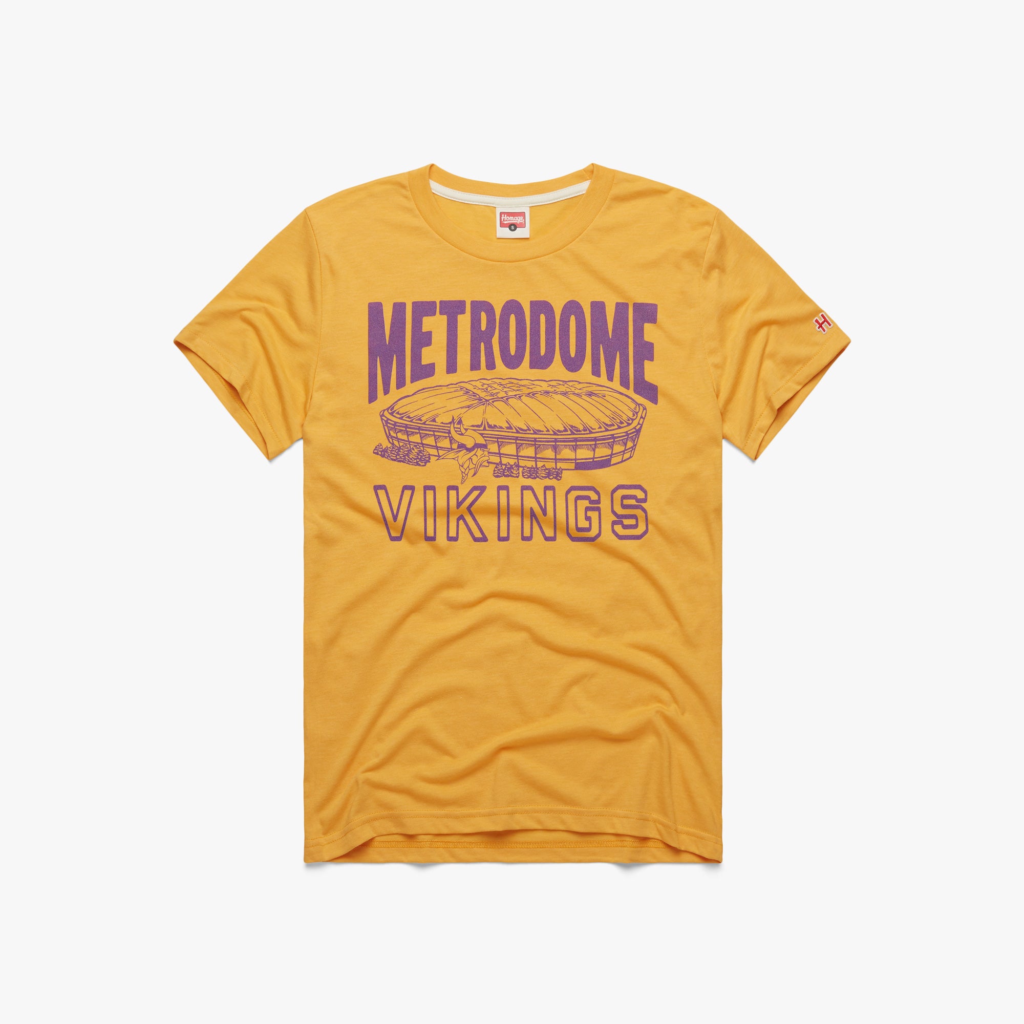 Minnesota Vikings Metrodome
