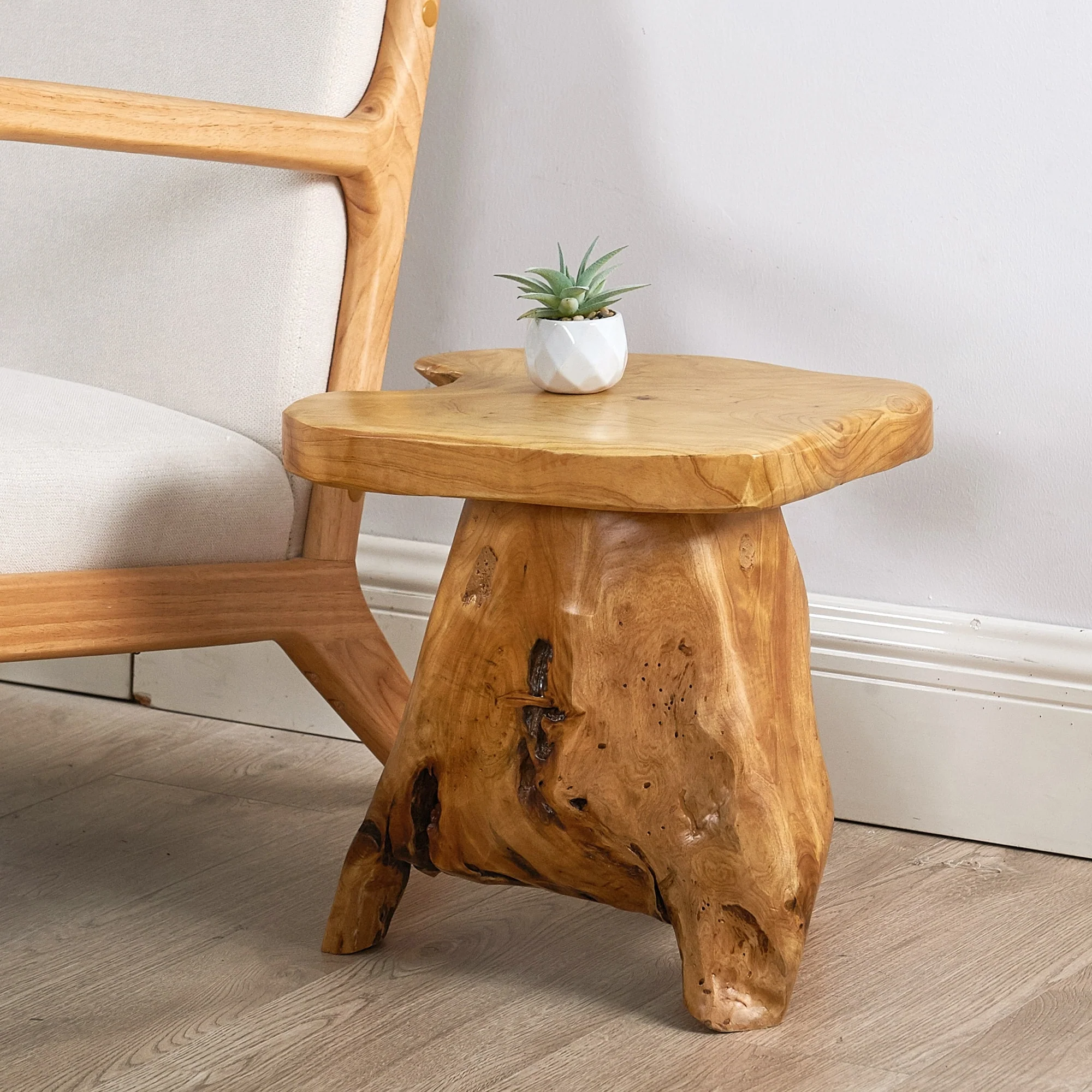 Naturally Shaped Mushroom Side Table Stand