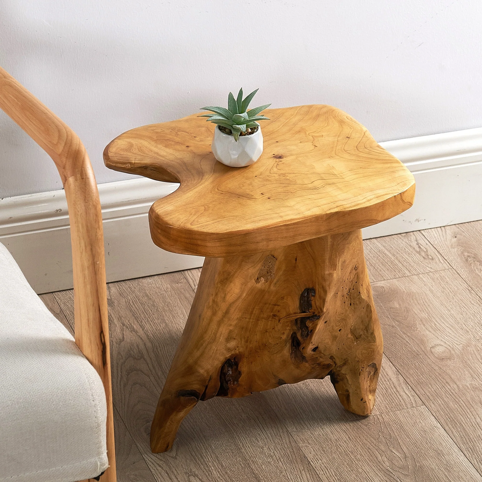Naturally Shaped Mushroom Side Table Stand