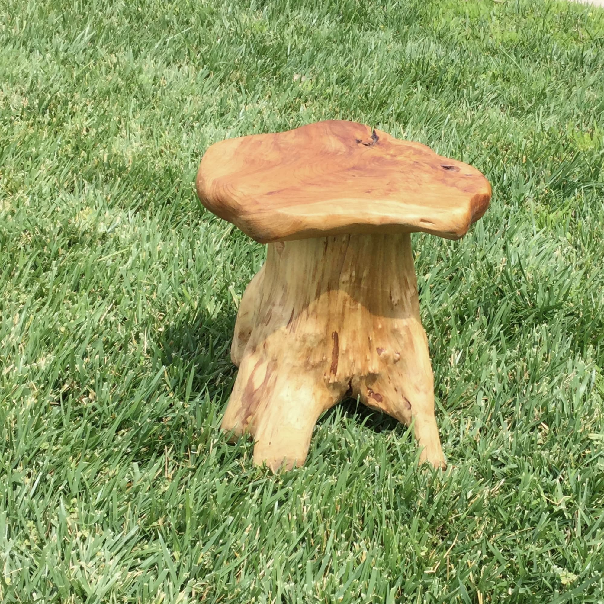 Naturally Shaped Mushroom Side Table Stand
