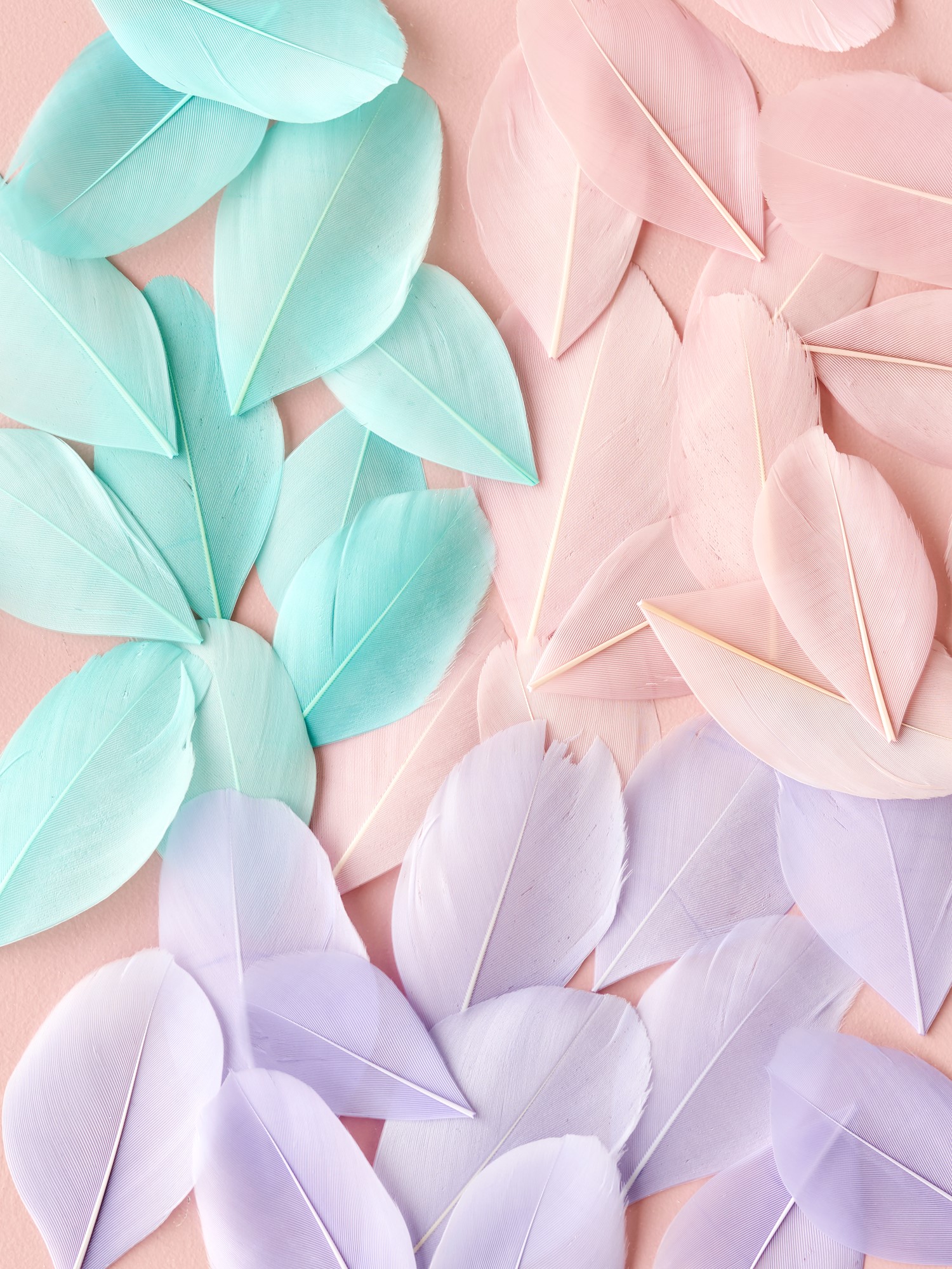 Feathers Goose. 5 g.