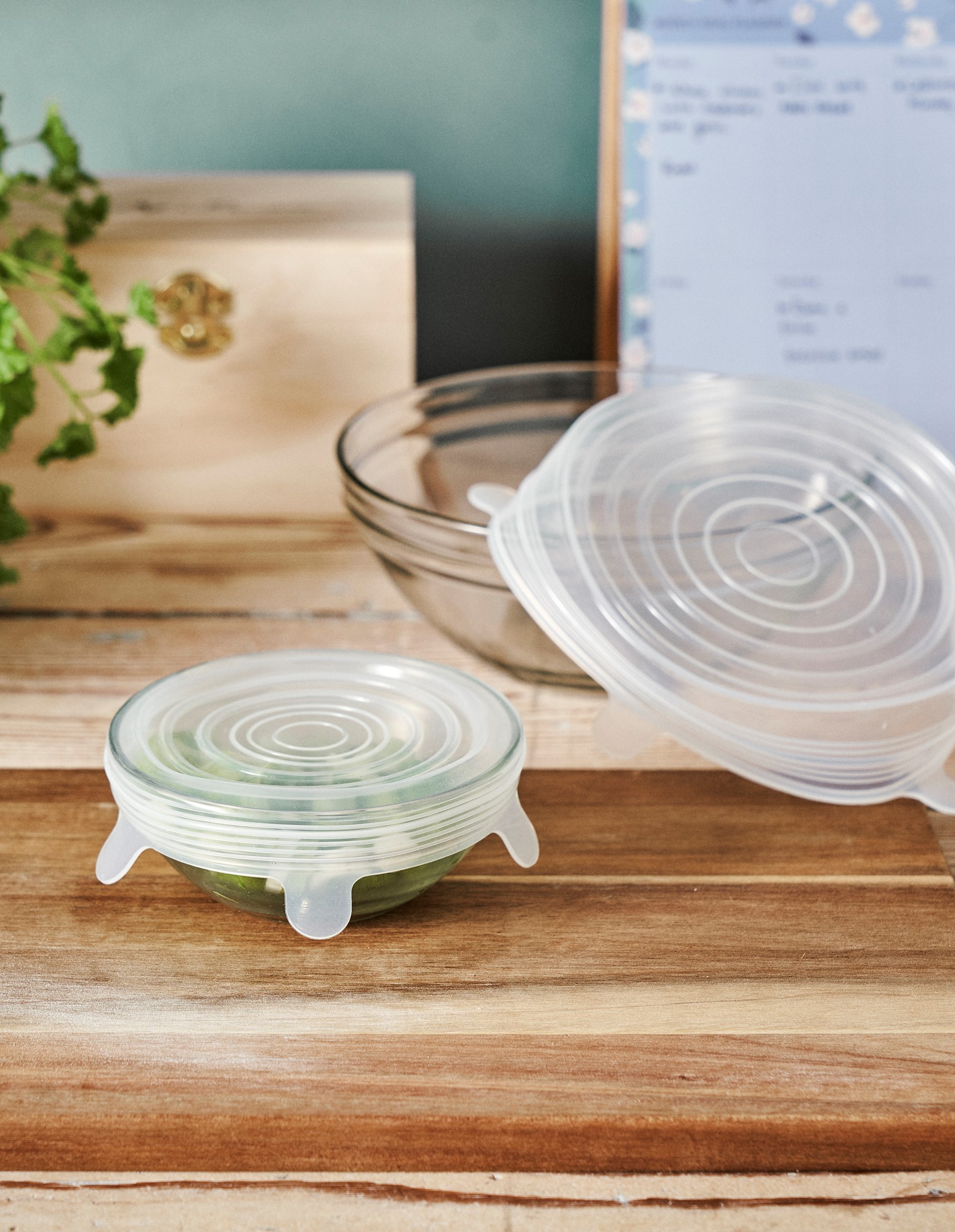 Reusable food lids 4 pcs. 6 cm/9 cm/11 cm/14 cm.