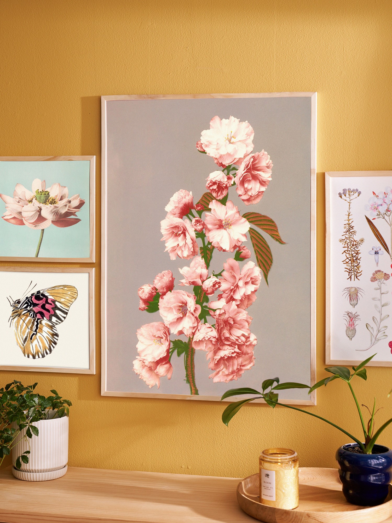 Poster 50 x 70 Paper.