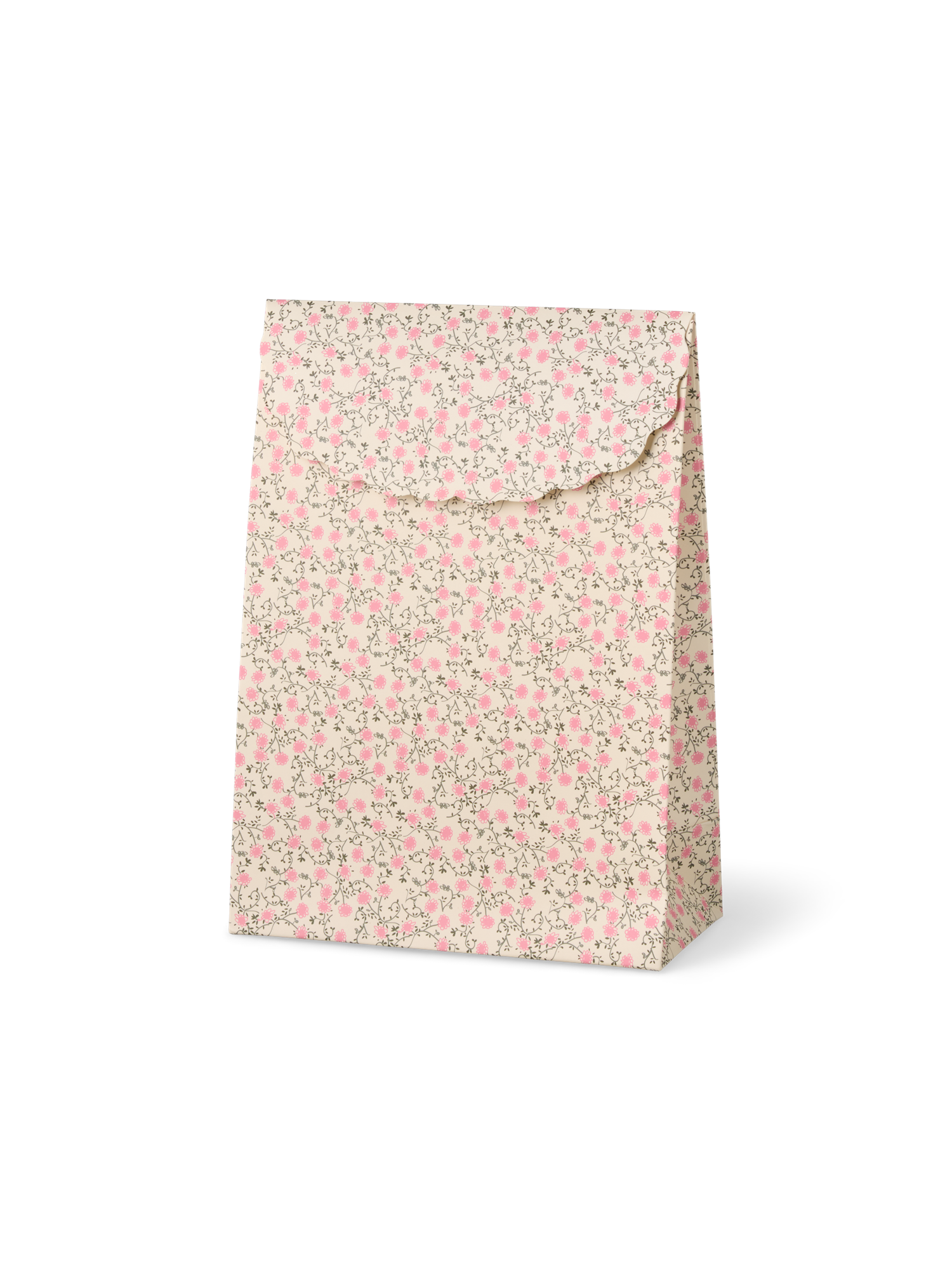 Envelope gift bag Paper.  26.5 x 19 x 9 cm.