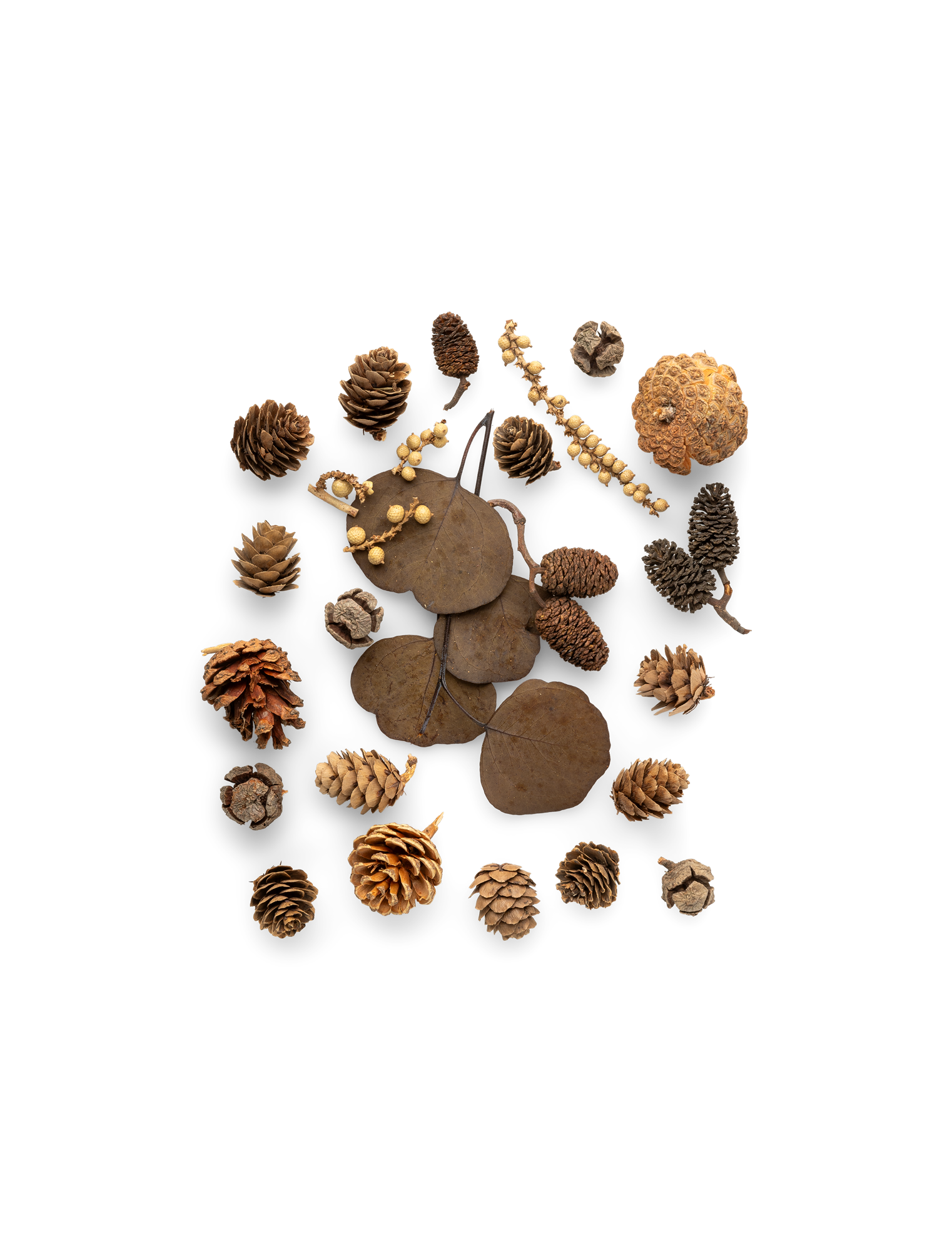 Mixed nature decorations 70 g.