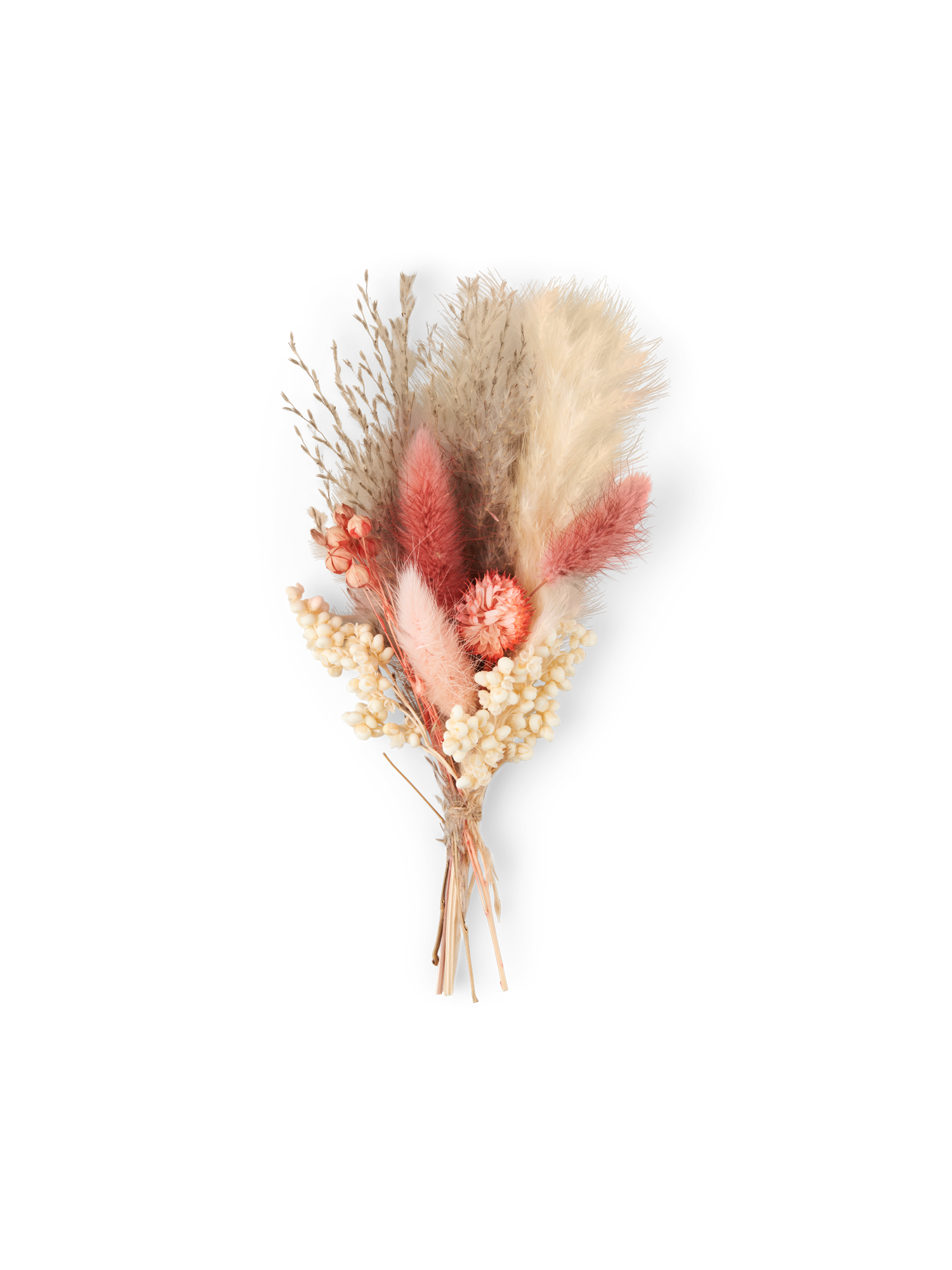 Dried flowers for DIY Dried flowers.