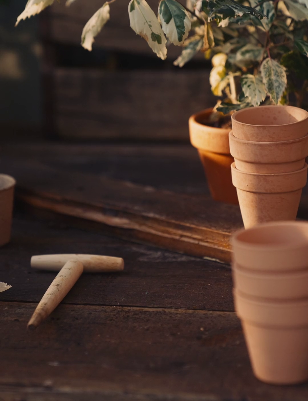 Mister Glass/plastic. Ø9.2 x 15.5 cm.