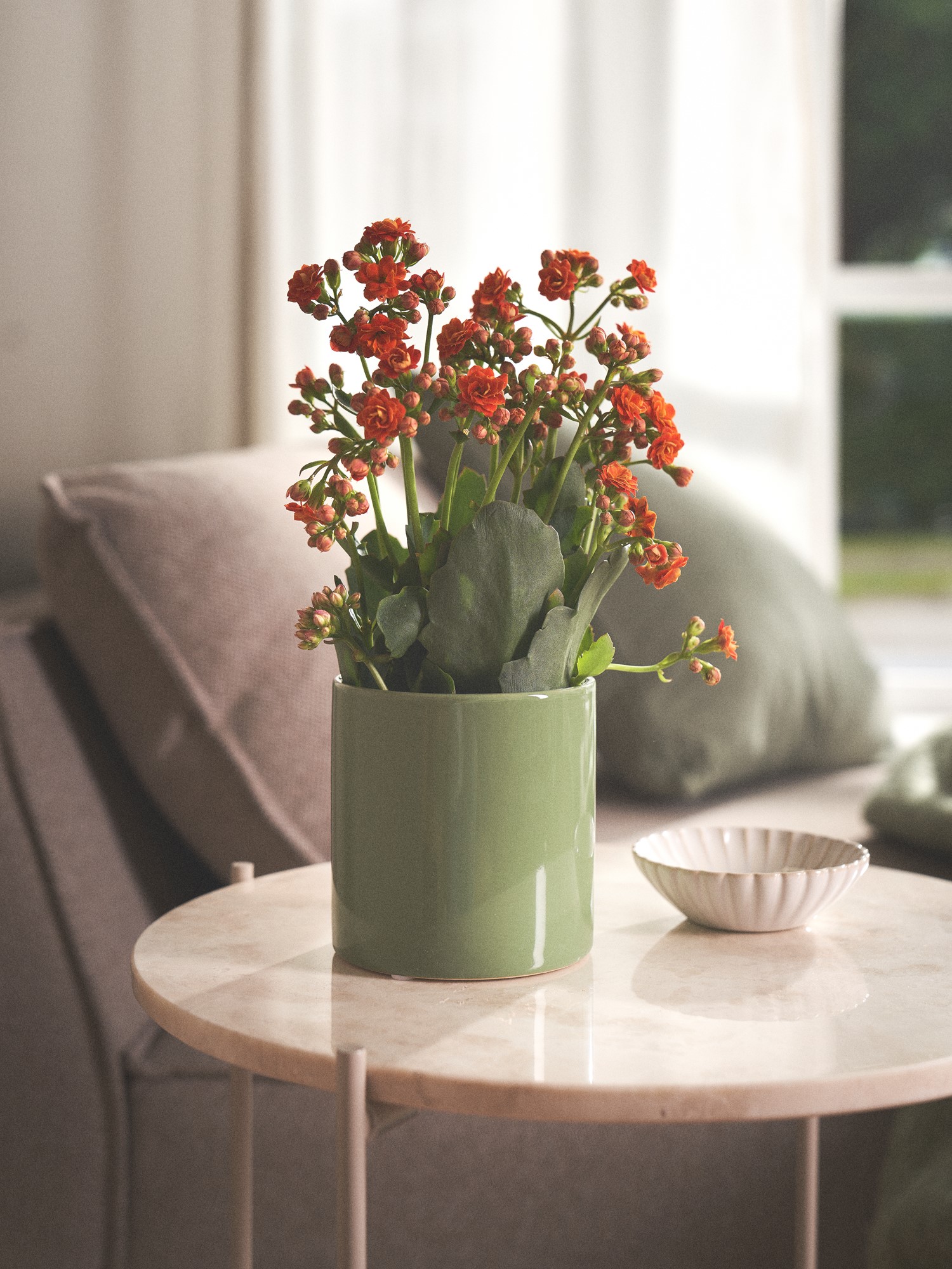 Flowerpot Porcelain. Ø10.5 x 11 cm.