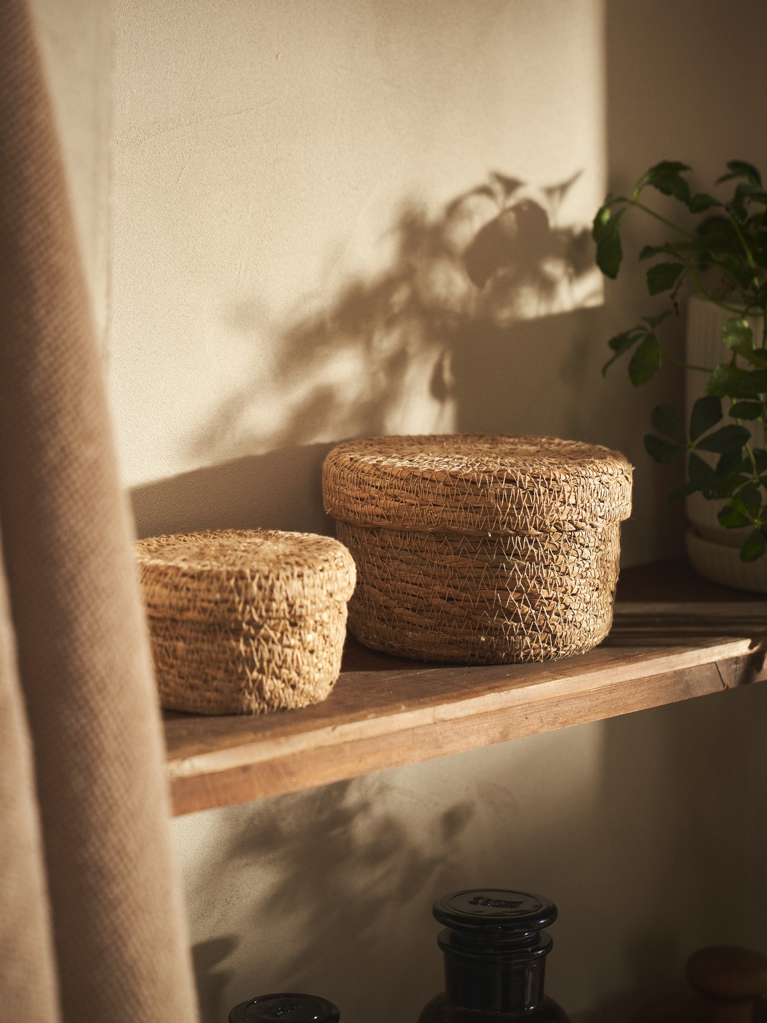 Basket with lid Seagrass. Ø12 x 8 cm.