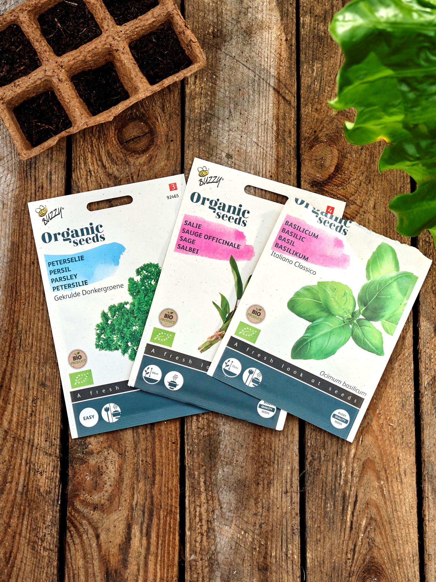 Buzzy® Organic Sage Seeds. 0.5 g.