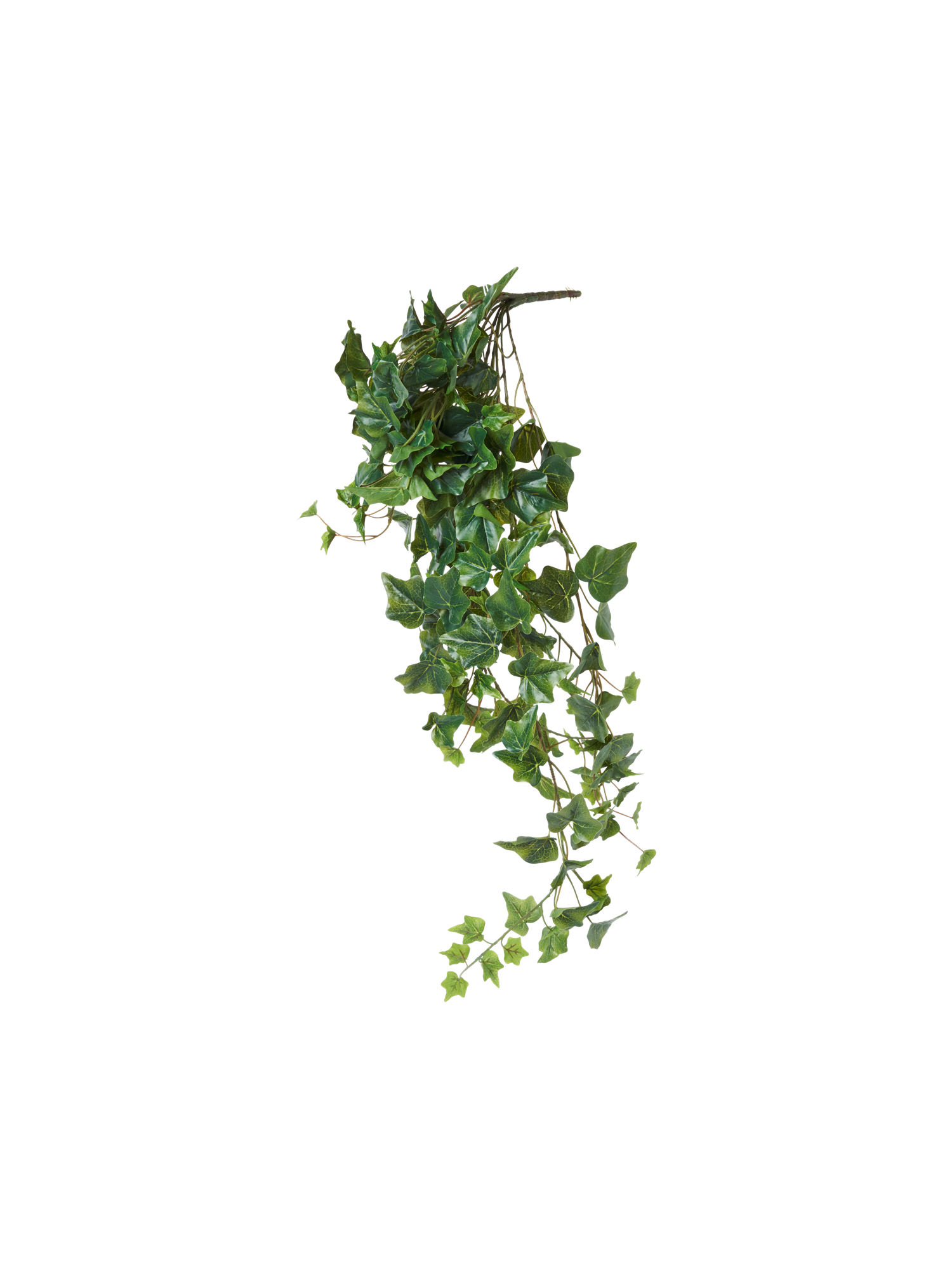 Artificial ivy Plastic. 80 cm.